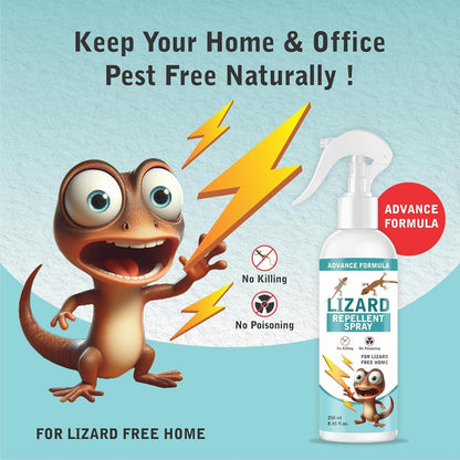 🦎 Lizard Repellent Spray (Pack of 2)
